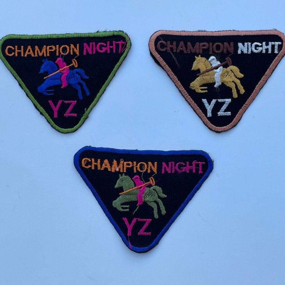 Iron On Patches Champion Nights Multi Color Patches for Craft Clothes Lot of 3